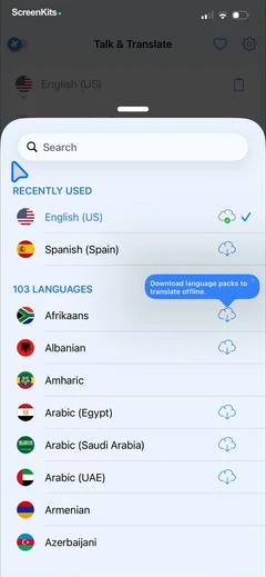 Talk & Translate AI Translator mobile app UI screen 12