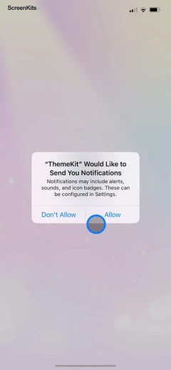 ThemeKit- Widget & Icon Themes permissions UI screen 4