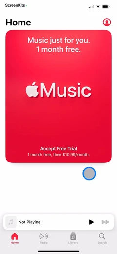 Apple Music mobile app UI screen 11