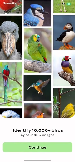 Bird Sounds Identifier Call ID mobile app UI screen 4