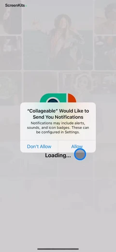 Photo Collage - Collageable permissions UI screen 3