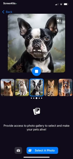 Talking Pet AI- Cat & Dog Talk mobile app UI screen 3