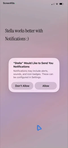 stella-manifest-anything permissions UI screen 5