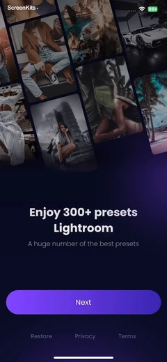 Presets for Lightroom- Filters mobile app UI screen 5