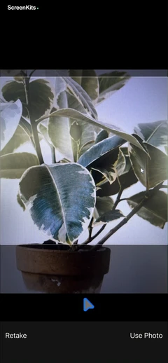Free Plant Identifier mobile app UI screen 11