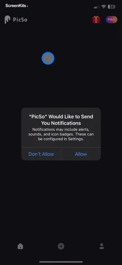 PicSo – Customize Your AI Girl permissions UI screen 4